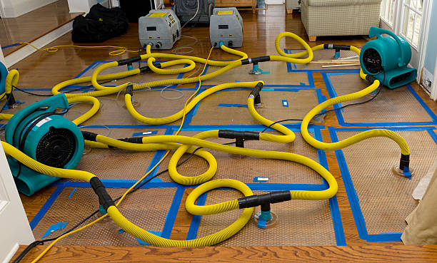 Professional Water Extraction technician working in Oak City, UT